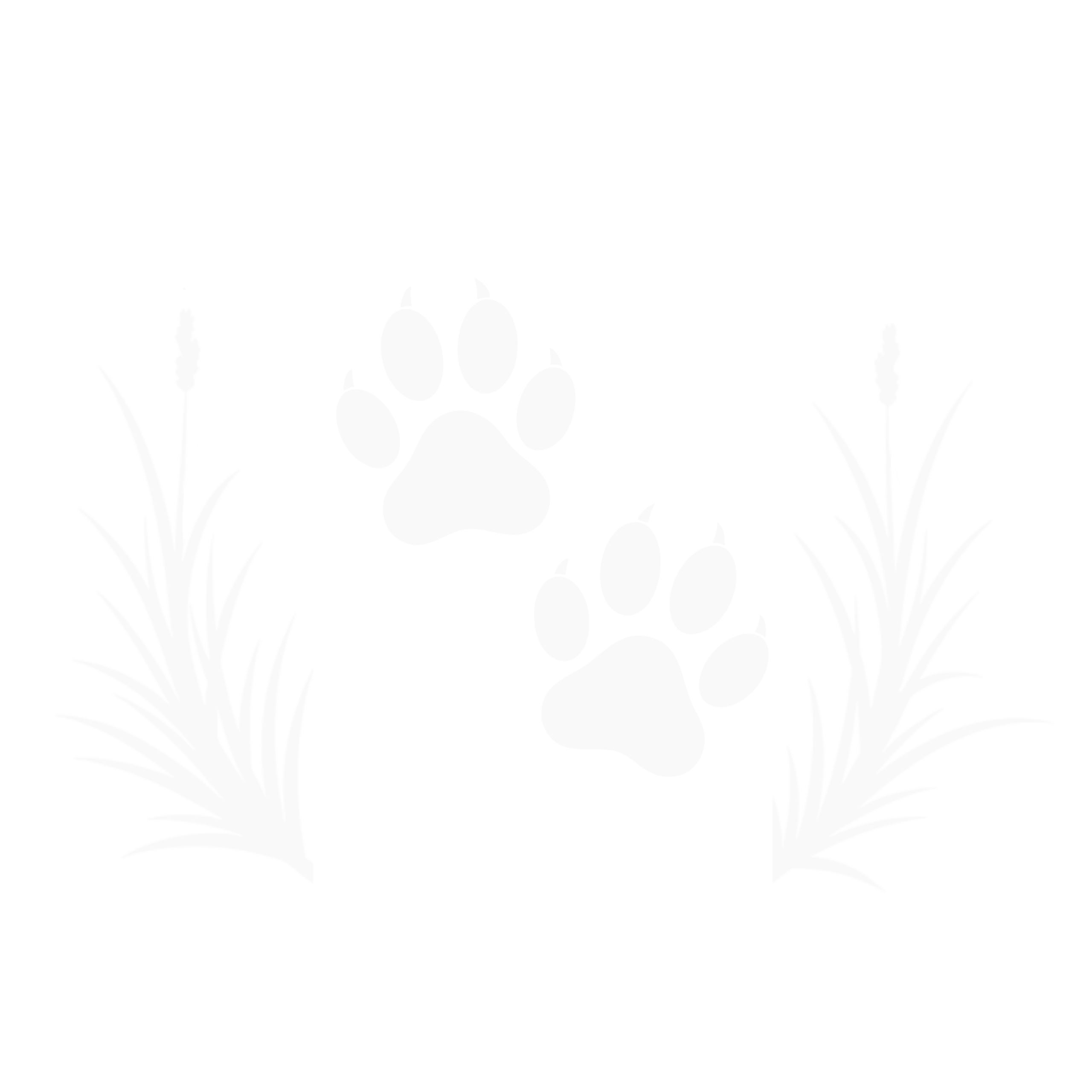 Wiesenpfoten